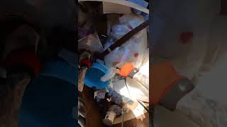 FULL UNCUT CRAFT STORE DUMPSTER DIVE WOW !!