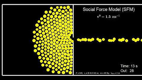 Social Force Model