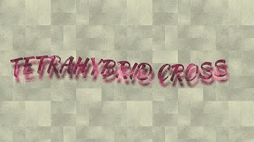 TETRAHYBRID CROSS