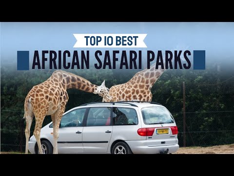 Vídeo: Les 10 principals destinacions de safari africans imperdibles