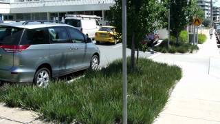 LITTLE REV™ Dianella blue foliage landscape Dianella | Ozbreed Strappy Leaf Plants Range