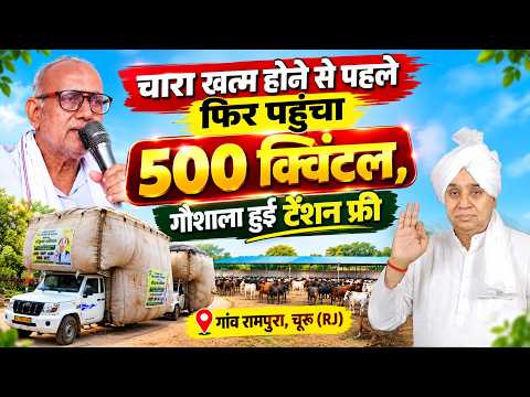 गांव रामपुरा, चूरू (RJ) | चारा खत्म होने से पहले फिर पहुंचा 500 क्विंटल, गौशाला हुई टेंशन फ्री