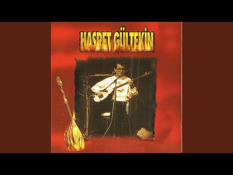 Hasret Gültekin - Bir İnsan Ömrünü