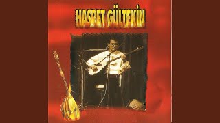 Bir İnsan Ömrünü - Hasret Gültekin