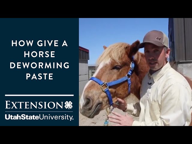 How to Give a Horse Deworming Paste