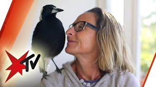 Querschnittsgelähmte Mutter: Wie ein Vogel die Familie rettete | stern TV (2017)