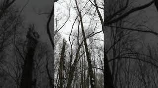 VID 20201123 124049
