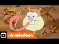 SpongeBob SquarePants Nutmare Nickelodeon UK 