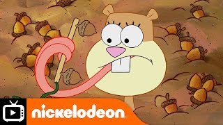 SpongeBob SquarePants | Nutmare | Nickelodeon UK Resimi