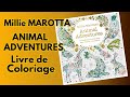 Millie marotta animal adventures  prsentation et flip through de son livre bestof