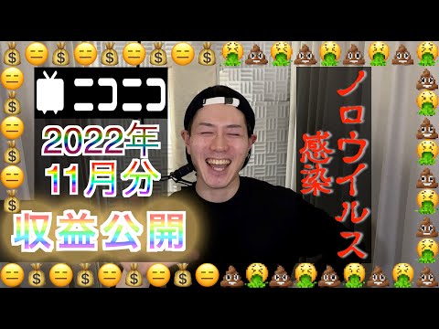 【雑談】ニコニコ11月の収益/年末年始にノロウイルス？に感染した話