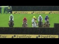 2015 Betfair Chase - Cue Card - Racing UK