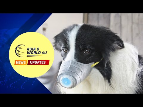 coronavirus-updates-:-first-case-of-human-to-animal-transmission-confirmed-in-hong-kong