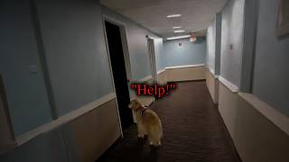 20 SCARY GHOST Videos To Push Your BRAVERY To The EDGE!