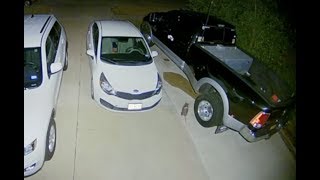 Live Replay - Giant Rat Caught On..... Ring Camera