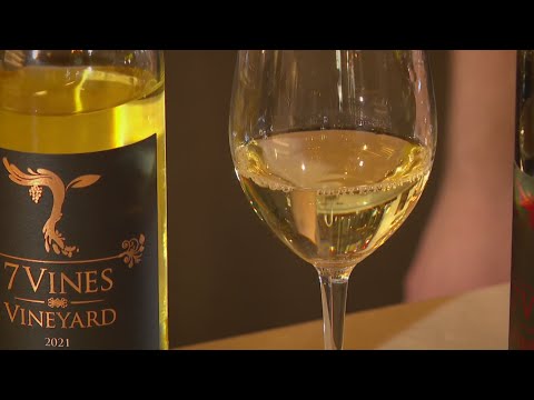 Minnesota vineyard hopes