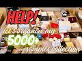 I NEED HELP! LET&#39;S  ORGANIZE MY 5000+ SAMPLES COLLECTION