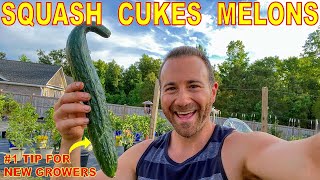 Don't Plant SQUASH, CUCUMBER and WATERMELON Before Watching This!