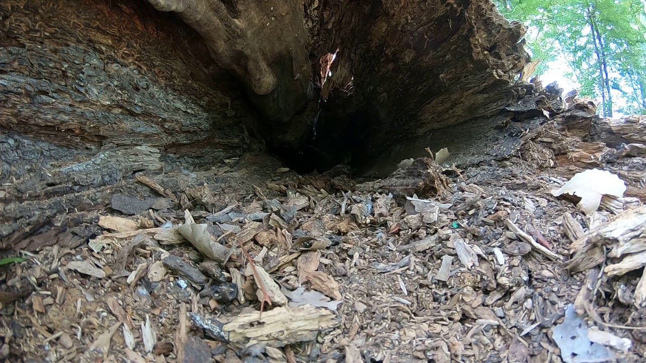 camera iphone 8 plus apk GH010072