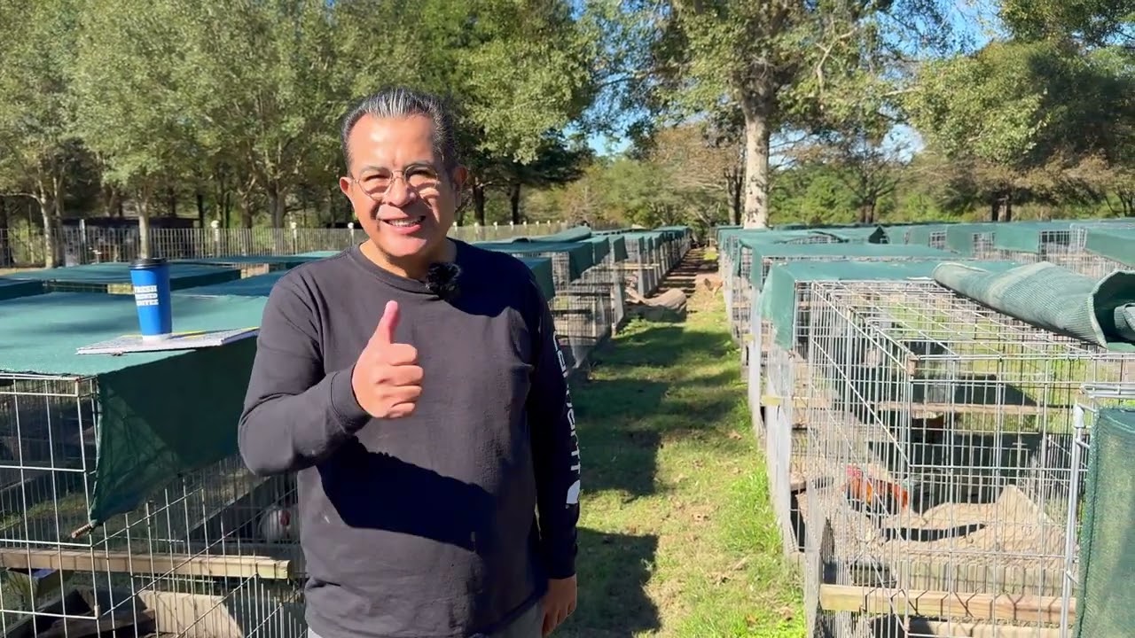 Paco Baluarte, desde "Gulf Haven", la granja de Gene Batia