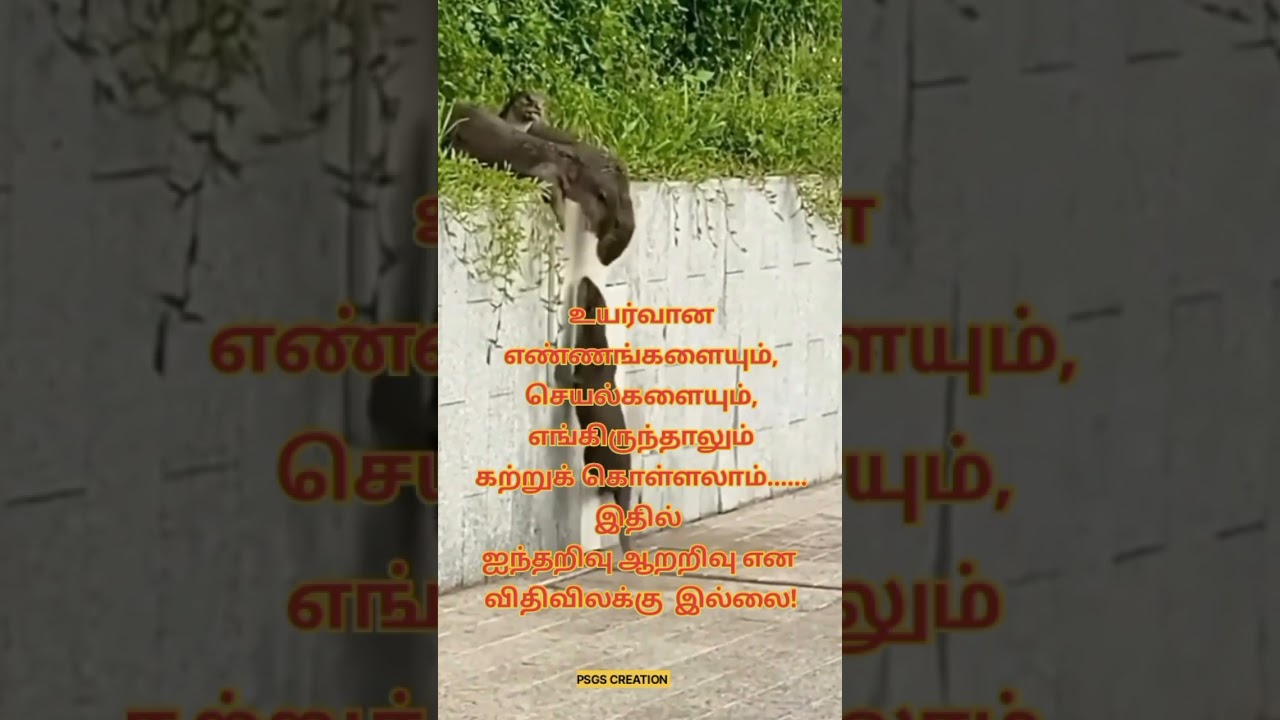 Padithathil Pidithathu/Parthathil Pidithathu In tamil/Motivational Quotes