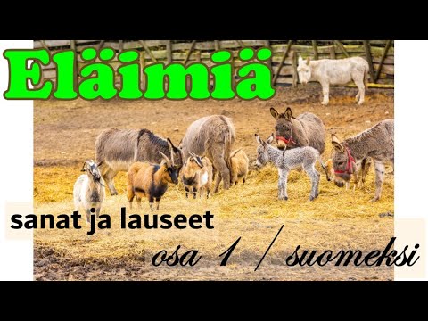 Video: Millaisia eläimiä savannilla elää?