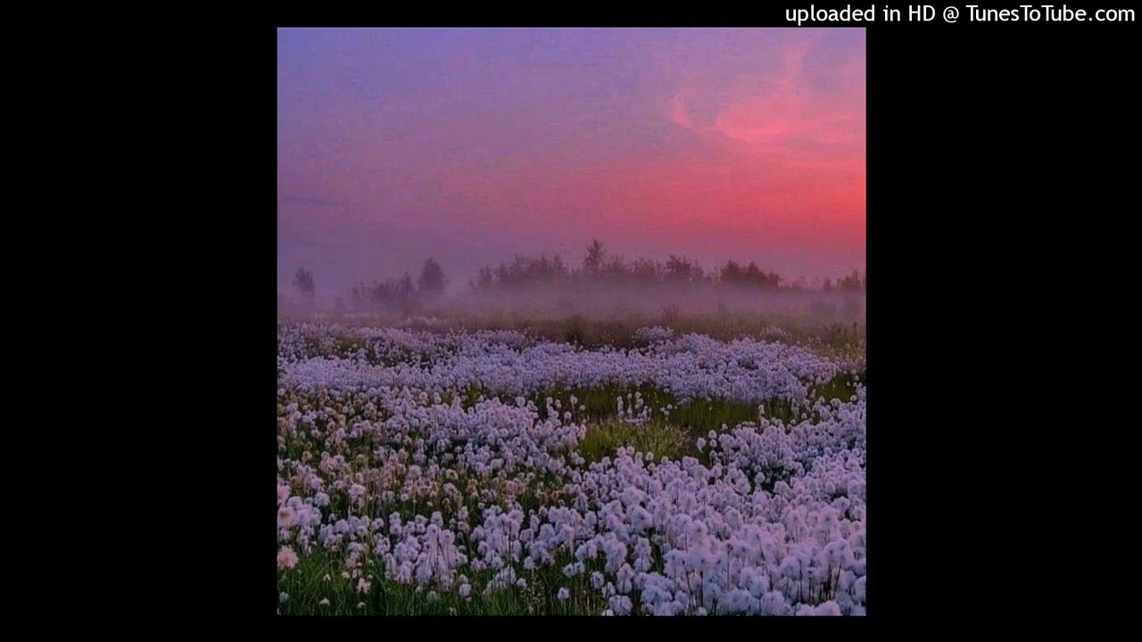 [FREE FOR PROFIT] botanica x kayyo x underscores type beat - “shining petals”