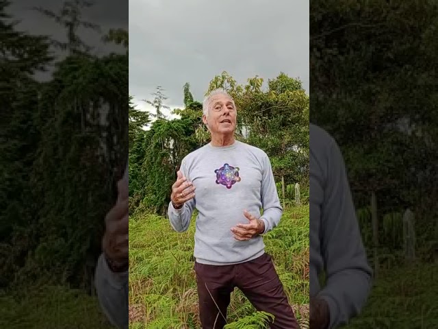 Siete leyes espirituales del éxito, Deepak Chopra. Liderazgo es la clave.