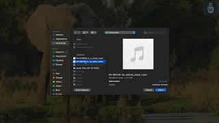 HackSMU Demo Video EchoElephant by NatalieSantos Silva screenshot 1