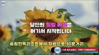 한옥리조트 인근 해바라기공원을 소개 합니다#송림한옥리조트  #팔공산숙소  #한옥리조트  #대구한옥  #팔공산여행