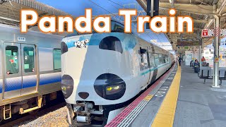 【Panda Kuroshio】Riding the Panda Train to Shirahama! Sea Caves, Fish Market & Onsen