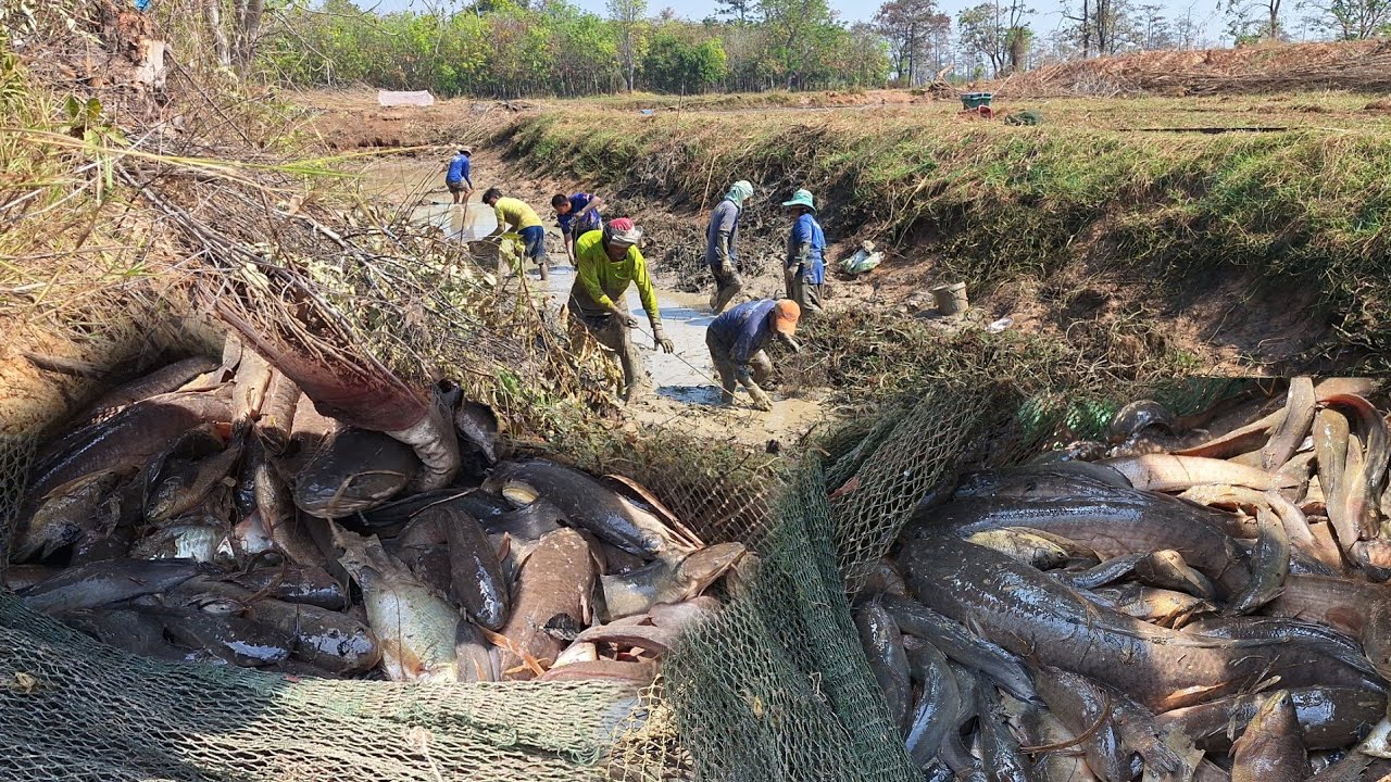 ป๊าดสระอยู่กลางท่งมีปลาเยอะมากๆ