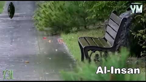 76 سورۃ الانسان القارئ الشيخ ماهر المعيقلي القران الكريم Surah Al Insan