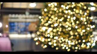 Background Blurred Video Bokeh Creative Video tiktok  16