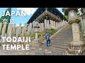 4K Japan Beautiful Todaiji Temple Walk in Nara Park - Marvelous Top View from Nigatsudo on the Hill