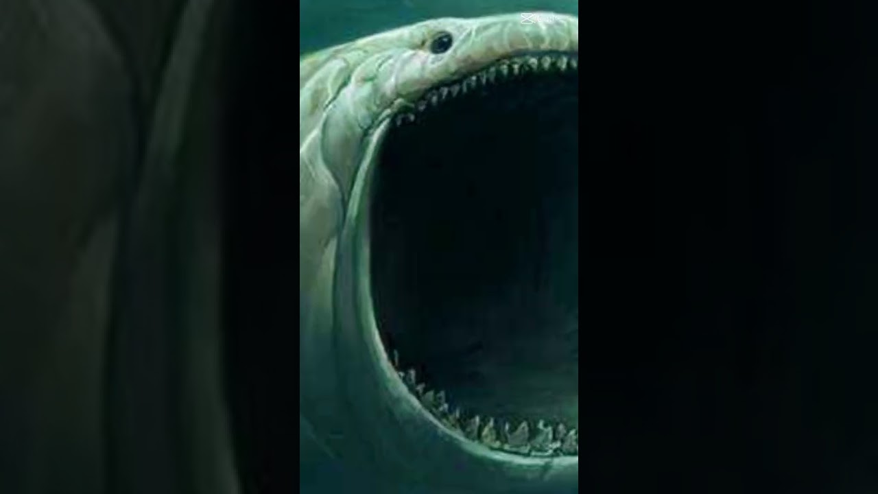 #jedag jedug#ikan nabi yunus#