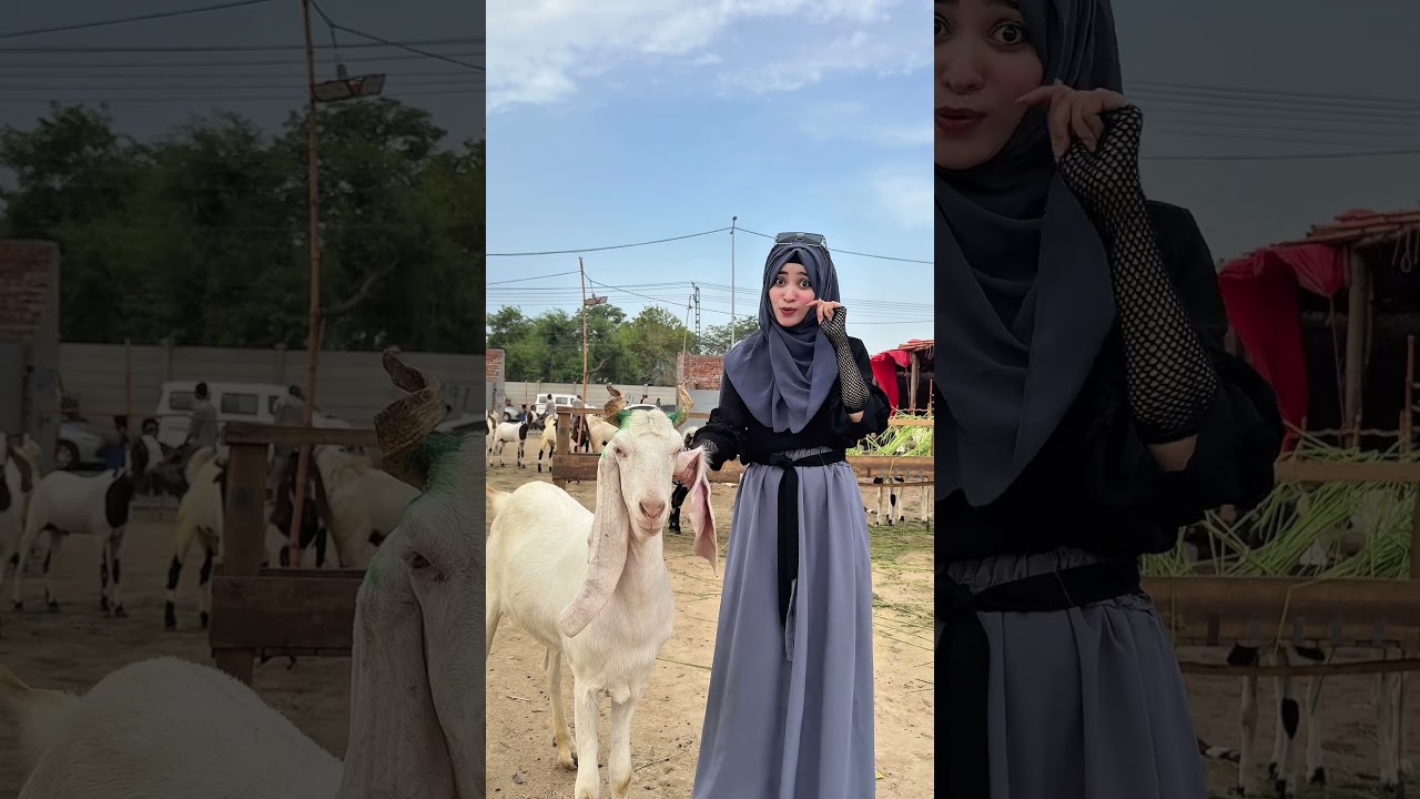 Ye To Pyara Bakra Hai 🐐Laiba Fatima #ytshorts #shorts #eidspecial
