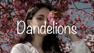 Ruth B. - Dandelions MIX // Lyrics // Dandelions