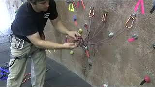 Celebrity 3 Point Anchor Profile