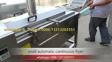 small continuous frying machine testing with potato slice and dough twist frying site