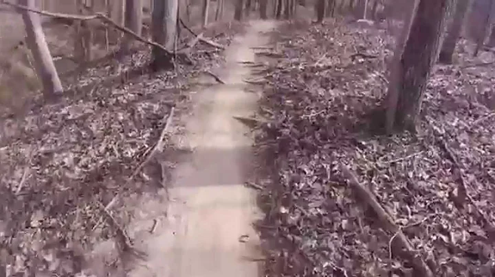 MTB Crash