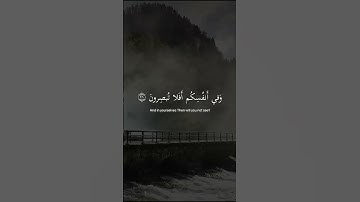 تلاوة خاشعة بصوت القارئ اسلام صبحي | حالات واتس اب قران | وفي الارض ايات للموقنين