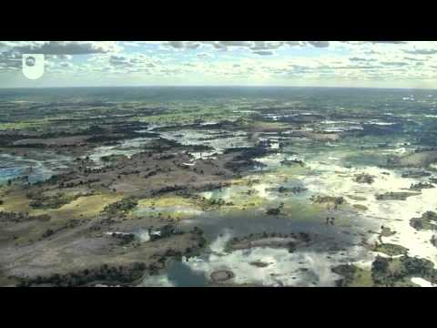 habitat de las aves How Plants Make Food - Ecosystems: The Carbon Cycle (1/3)