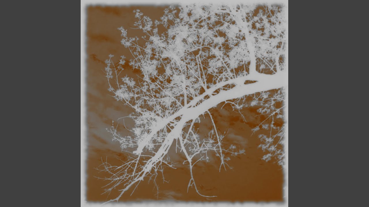 Watch Shoegazerr on YouTube Watch Shoegazerr on YouTube