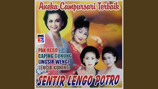 Download Lagu Caping Gunung