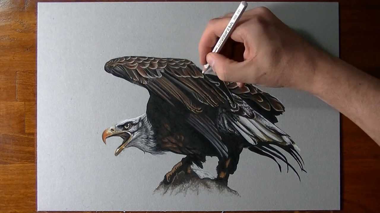 How to draw an eagle - YouTube