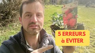 Planter Des Fraises 5 Erreurs À Eviter