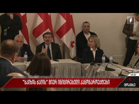 „ხალხის ძალის“ მიერ ინიცირებული კანონპროექტები