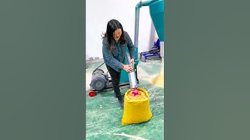 Cattle & Sheep Feed Pellet Machine in Action 🐄🐑 | Efficient Feed Pellet Mill for Farms