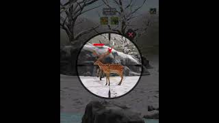 Animal Hunting Level 325 | Wild Game Adventure Begins!